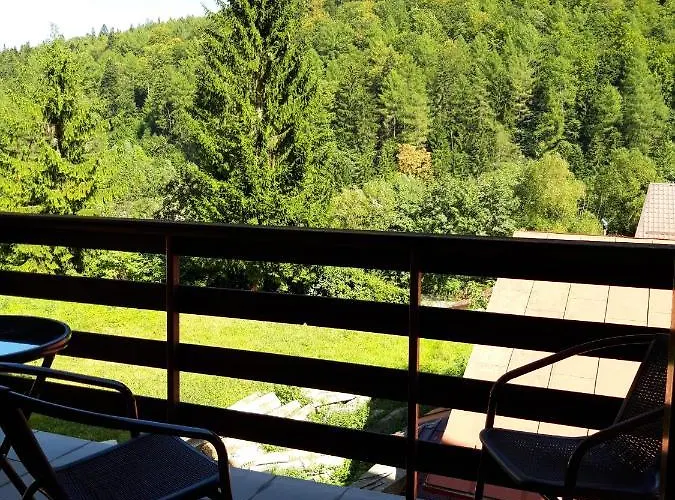 Studio Central Sinaia