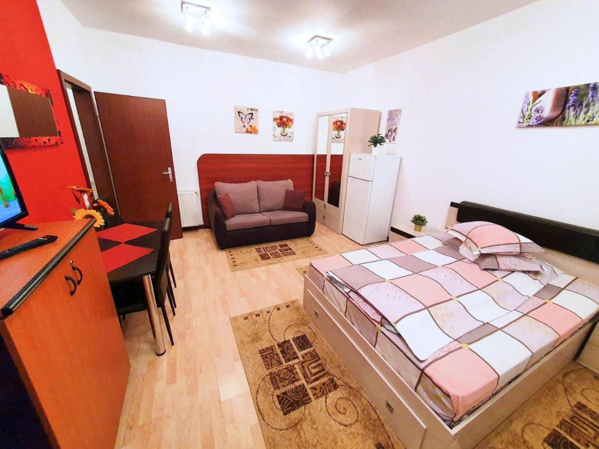 Studio Central Sinaia