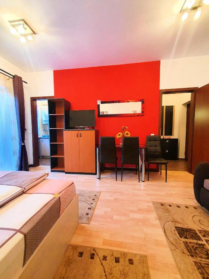 Apartament Studio Central *